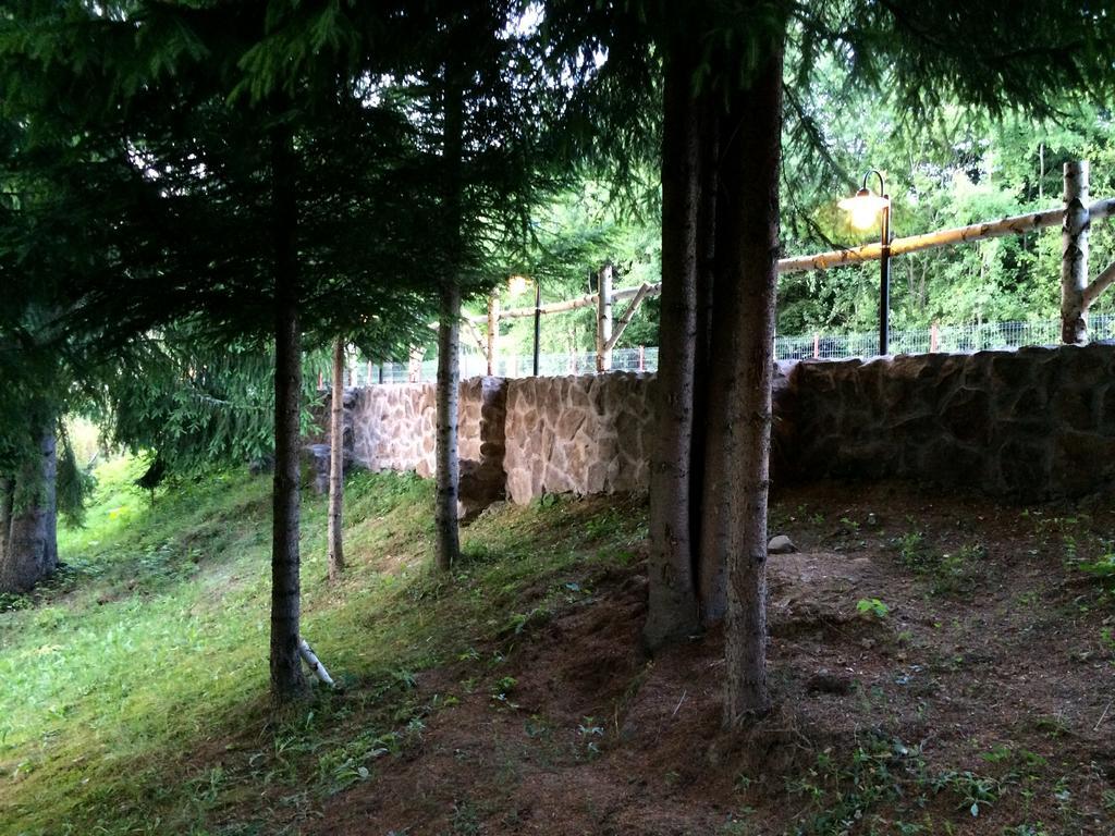 Casa Laur Cu Plaja Privata Hotell Colibiţa Exteriör bild